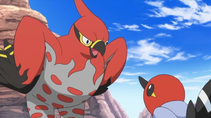 talonflame-pokemon-anime